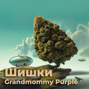 Купить бошки Grandmommy purple