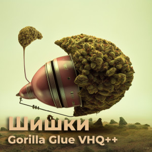 Купить бошки шишки Gorilla Glue VHQ